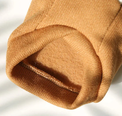 Pet Clothes, Sweater