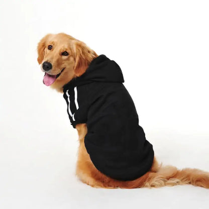 Pet Clothing Collection