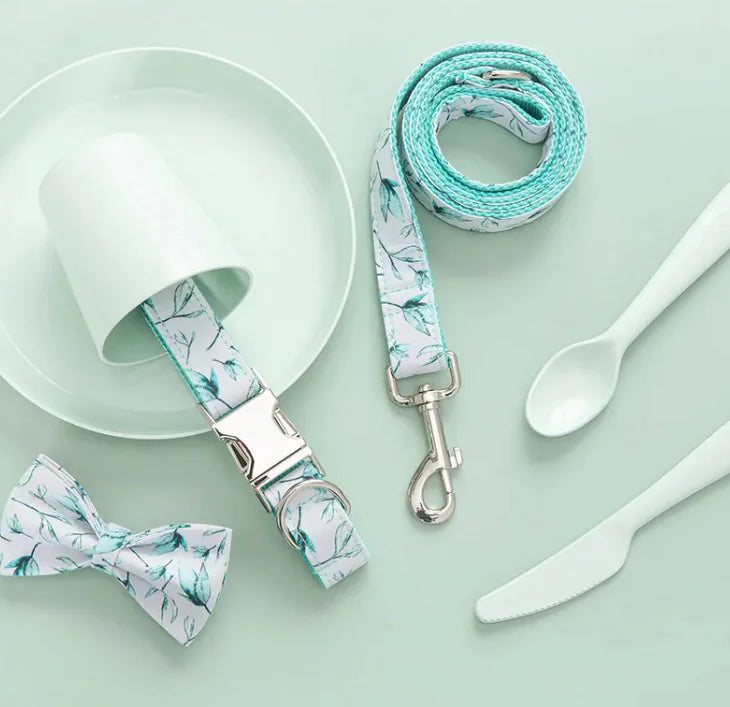Stylish Pet Leash
