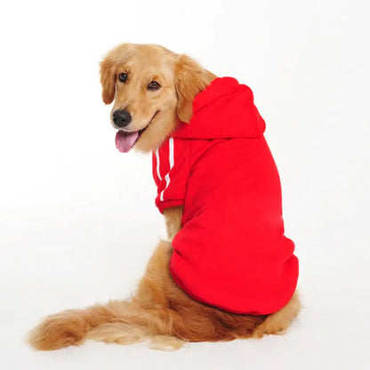 Pet Clothing Collection
