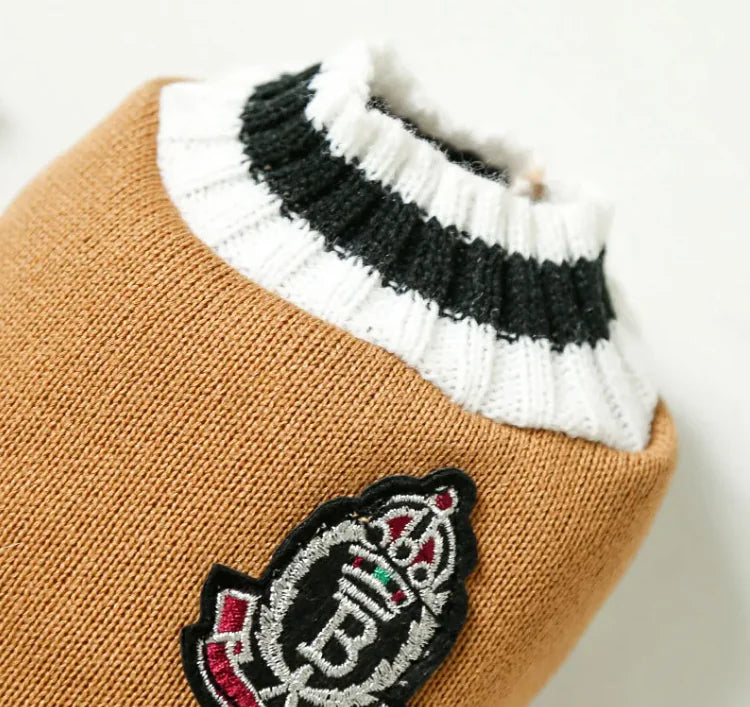 Pet Clothes, Sweater