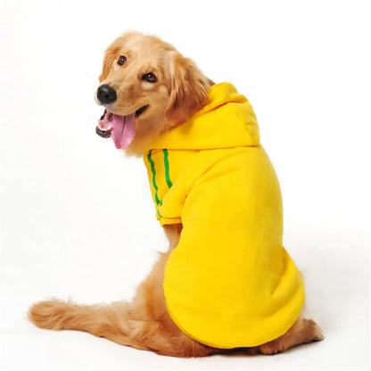 Pet Clothing Collection