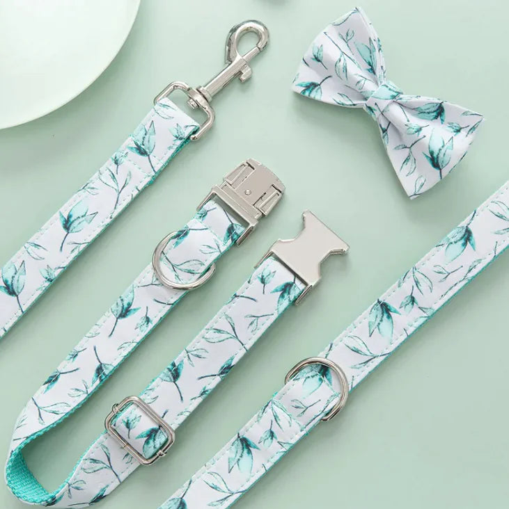 Stylish Pet Leash
